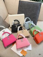LOUIS VUITTON lv capucines bag