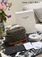 Celine vanity crossbody bag - Image 4