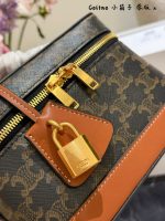 Celine vanity crossbody bag - Image 6