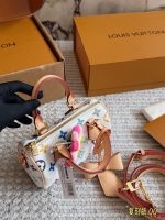 LOUIS VUITTON lv nano speedy murakami bag size : 16cm - Image 6