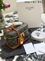 Celine vanity crossbody bag - Image 8