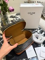 Celine vanity crossbody bag - Image 9