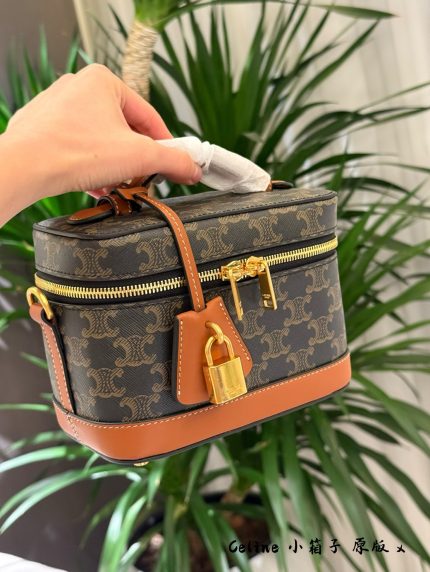 Celine vanity crossbody bag