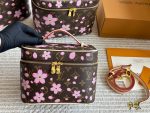 LOUIS VUITTON lv vanity toiletry bag size : 16cm /20cm /26cm /30cm - Image 4