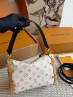LOUIS VUITTON lv sidetrunk bag size : 23*16cm