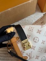 LOUIS VUITTON lv sidetrunk bag size : 23*16cm - Image 5