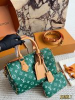 LOUIS VUITTON LV Speedy25 cm P9