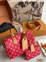 LOUIS VUITTON LV Speedy25 cm P9 - Image 5