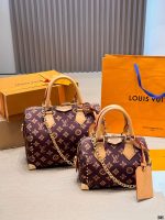 LOUIS VUITTON LV Speedy25 P9 - Image 2