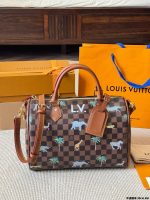 LOUIS VUITTON LV Speedy30 cm
