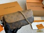 LOUIS VUITTON lv ivy bag size : 22*12cm