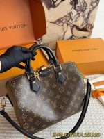 LOUIS VUITTON LV Speedy25 trunk