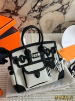 Hermes birkin bag  canvas size : 25X20 cm