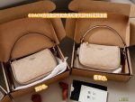 COACH NOLITA mini hobo size：20*11cm