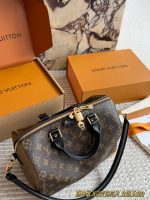 LOUIS VUITTON LV Speedy25 trunk - Image 3