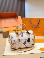 LOUIS VUITTON LV speedy30 cm