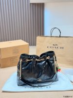 Coach Evelyn hobo tote size : 35 x 33cm - Image 3