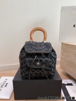 COACH Riya backpack size: 20×25 cm