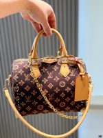 LOUIS VUITTON LV Speedy25 P9