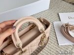 DIOR lady dior joy size : 22X 12cm - Image 5
