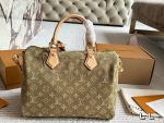 LOUIS VUITTON LV Speedy30 cm denim green - Image 5