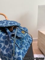 COACH Riya backpack size : 20×25 cm - Image 4