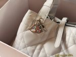 dior toujours tote size：23*15cm - Image 4