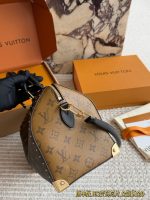 LOUIS VUITTON LV Speedy25 trunk - Image 5
