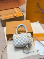 LOUIS VUITTON LV Speedy20