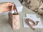DIOR lady dior joy size : 22X 12cm - Image 6