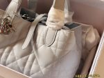 dior toujours tote size：23*15cm - Image 5