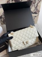 Chanel CF double flap timeless size : 25 cm - Image 5