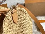 LOUIS VUITTON LV speedy30cm raffia bag - Image 6