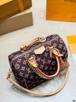 LOUIS VUITTON LV Speedy25 P9 - Image 8
