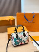 LOUIS VUITTON LV Speedy20
