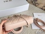 DIOR lady dior joy size : 22X 12cm - Image 8