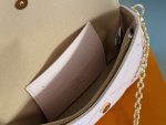 LOUIS VUITTON lv ivy crossbody bag size：23*12cm - Image 5
