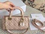 DIOR lady dior joy size : 22X 12cm - Image 10