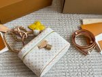 LOUIS VUITTON lv vanity  Bag size : 19*14cm - Image 10