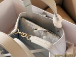 dior toujours tote size：23*15cm - Image 9