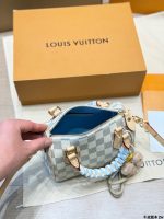 LOUIS VUITTON LV Speedy20 - Image 6