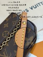 LOUIS VUITTON lv ivy crossbody bag size：23*12cm - Image 10