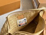 LOUIS VUITTON LV speedy30cm raffia bag - Image 10