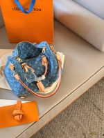 LOUIS VUITTON lv speedy 30 denim