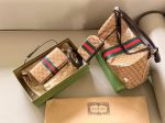 Gucci ophidia hobo bag