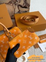 LOUIS VUITTON lv Speedy P9 size : 25 cm - Image 3
