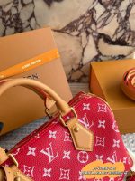 LOUIS VUITTON lv Speedy P9 size : 25 cm - Image 3