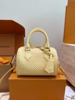 LOUIS VUITTON LV speedy 20