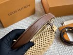 LOUIS VUITTON lv side trunk raffia bag  size : 23*16cm - Image 5