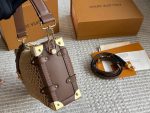 LOUIS VUITTON lv side trunk raffia bag  size : 23*16cm - Image 4